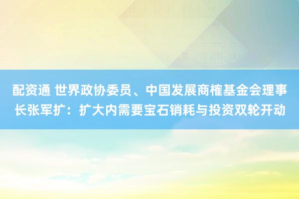 配资通 世界政协委员、中国发展商榷基金会理事长张军扩：扩大内需要宝石销耗与投资双轮开动