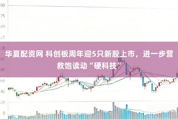 华夏配资网 科创板周年迎5只新股上市,进一步营救饱读动“硬科技”